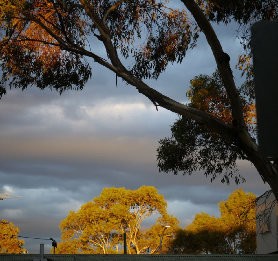 Merlynston_3058_Fern-Smith-29-03-218-1